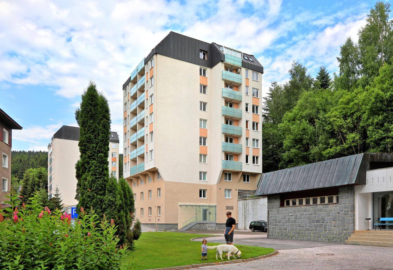 Apartment 91/65 Spindleruv Mlyn